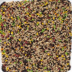 N°77 Canaris Colormix 20kg - Deli Nature à 32,45 € - Deli Nature - 006377 - Canaris