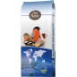 N°99 Oiseaux Indigènes Base 20kg - Deli Nature 006599 Deli Nature 35,45 € Ornibird