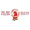 Red Pigeon - Red Bird - Red Cock - Red Animals